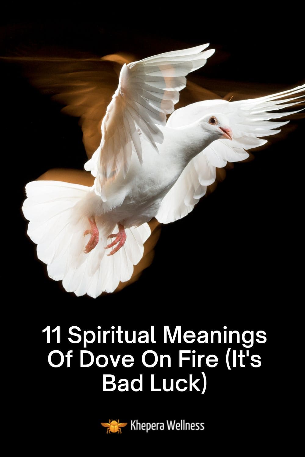 11 Spiritual Meanings Of Dove On Fire (It's Bad Luck)