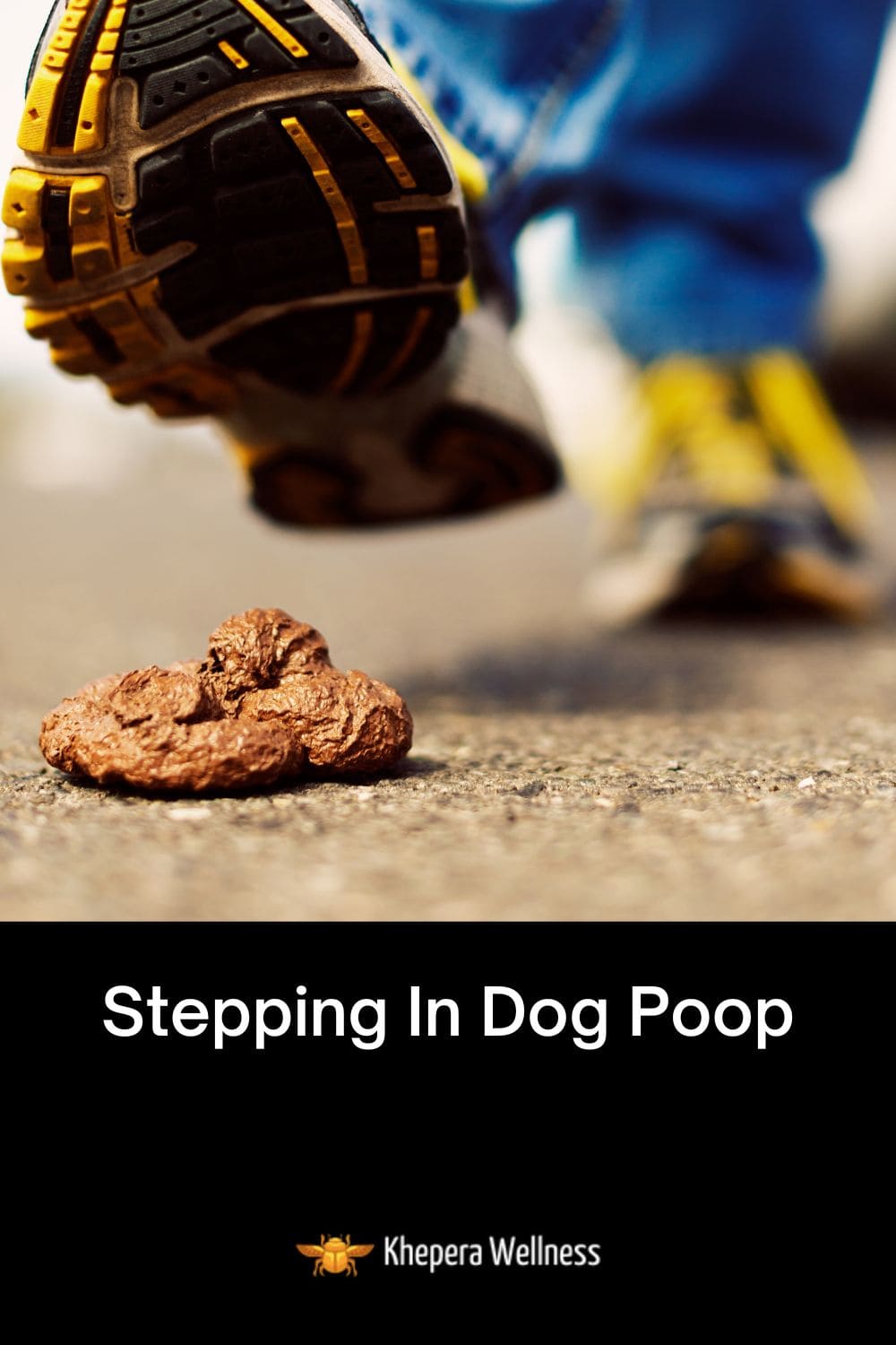 11 Spiritual Meanings Of Stepping In Dog Poop (Good Luck)?