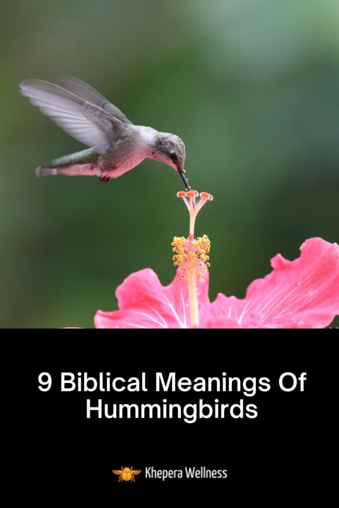 What do hummingbirds represent in the bible?