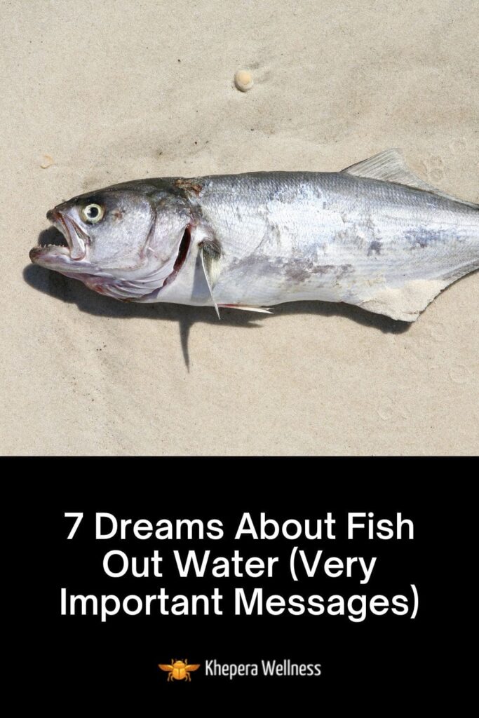 Dreams About Fish Out Water