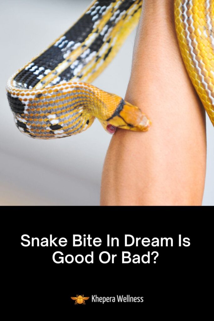 Snake Bite In Dream Is Good Or Bad