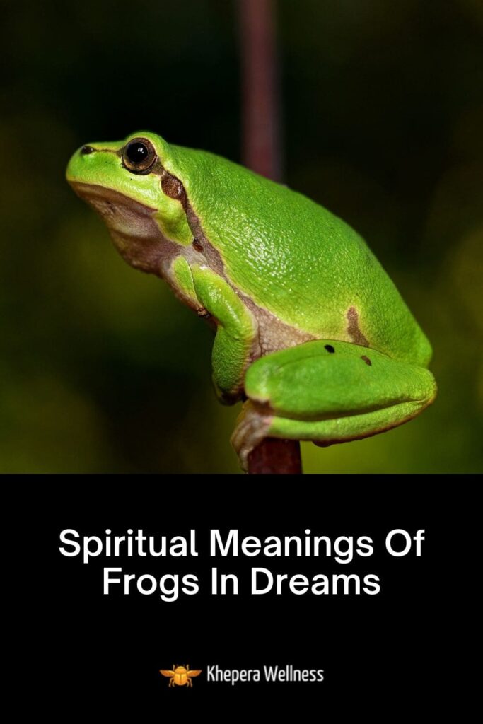 Spiritual Meanings Of Frogs In Dreams