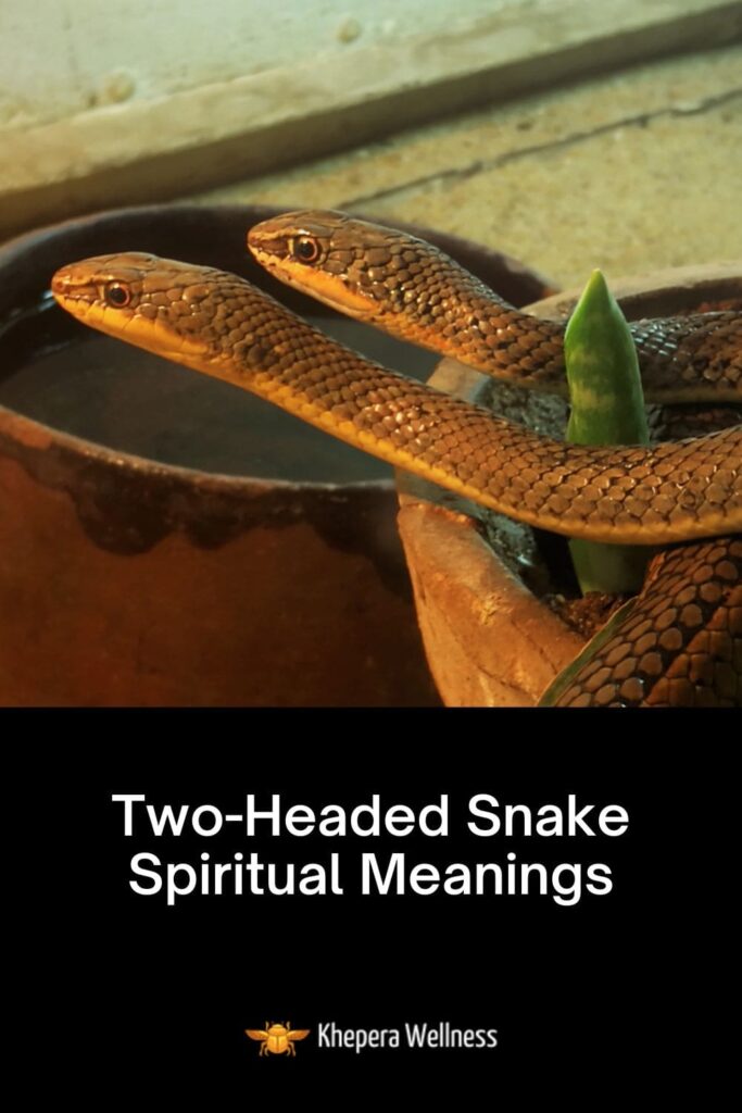 Spiritual meaning of double-headed snake