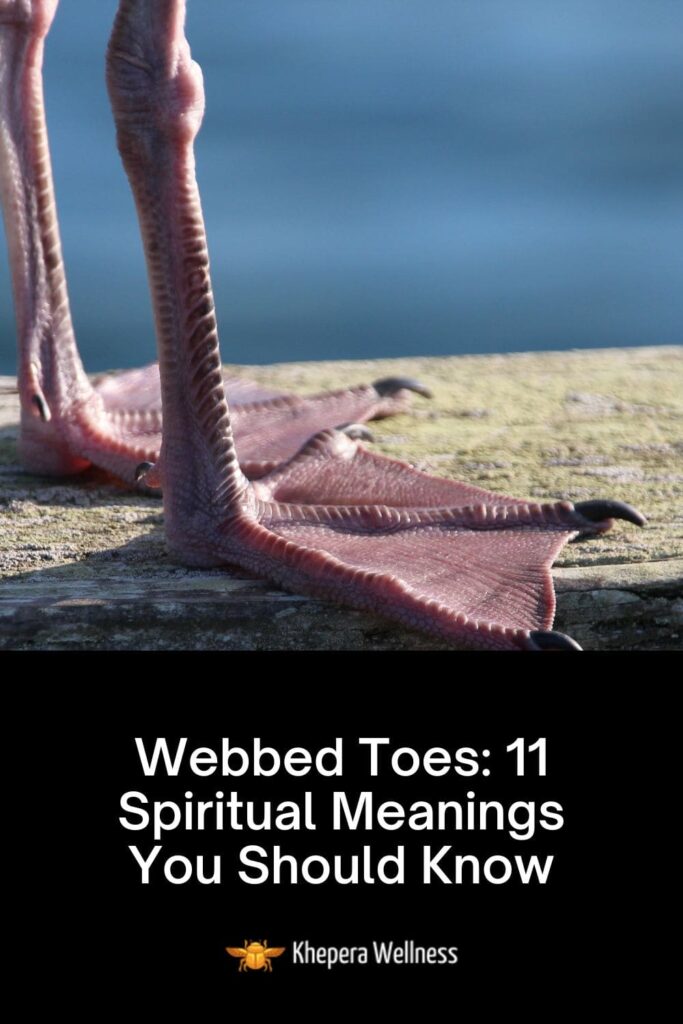 Webbed Toes 11 Spiritual Meanings You Should Know
