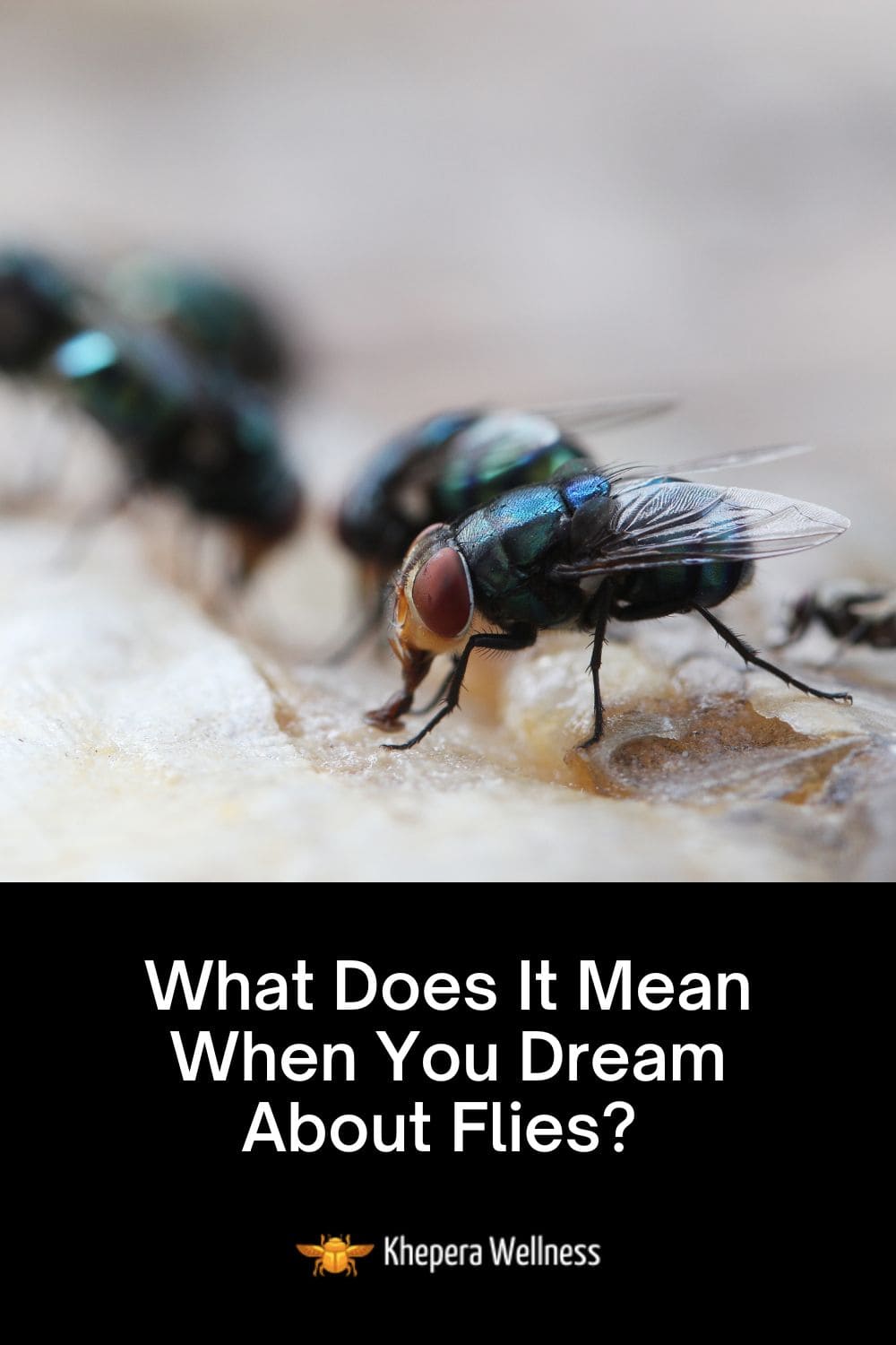What Does It Mean When You Dream About Flies?
