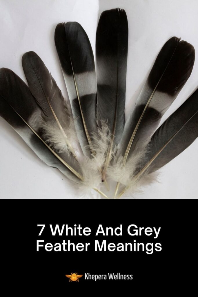 White And Grey Feather Meanings