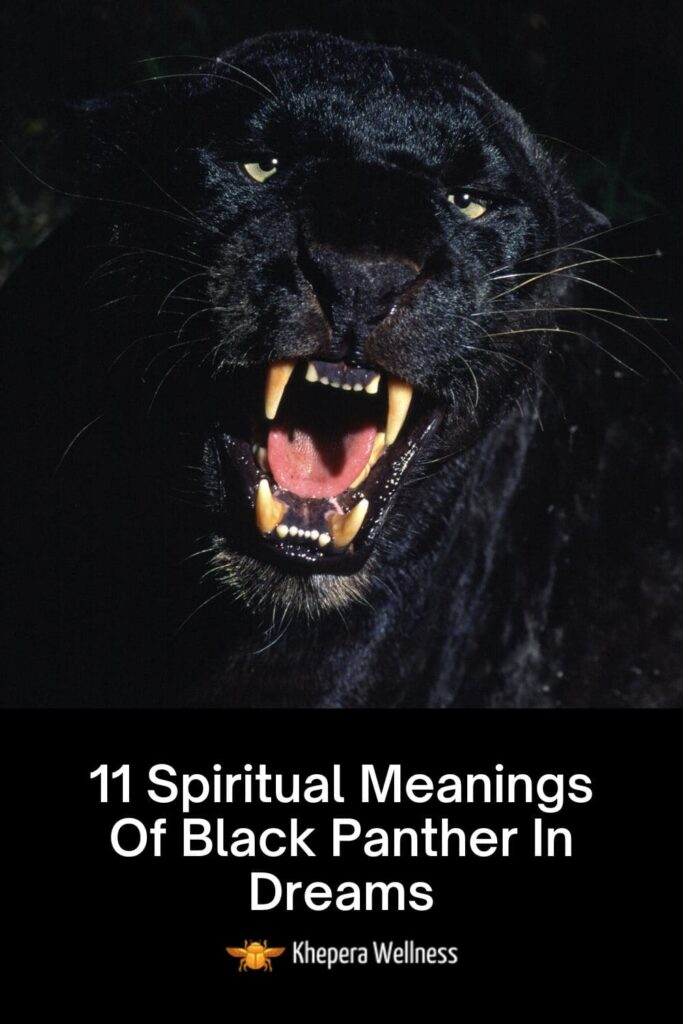 spiritual Meanings Of Black Panther In Dreams