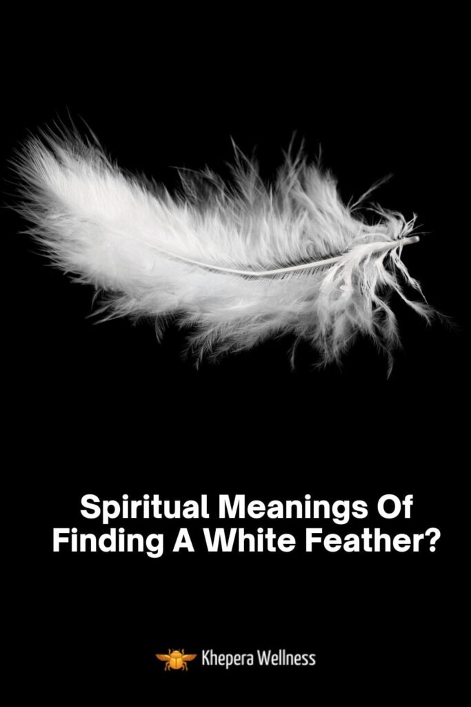 9 Spiritual Meanings of Finding a White Feather