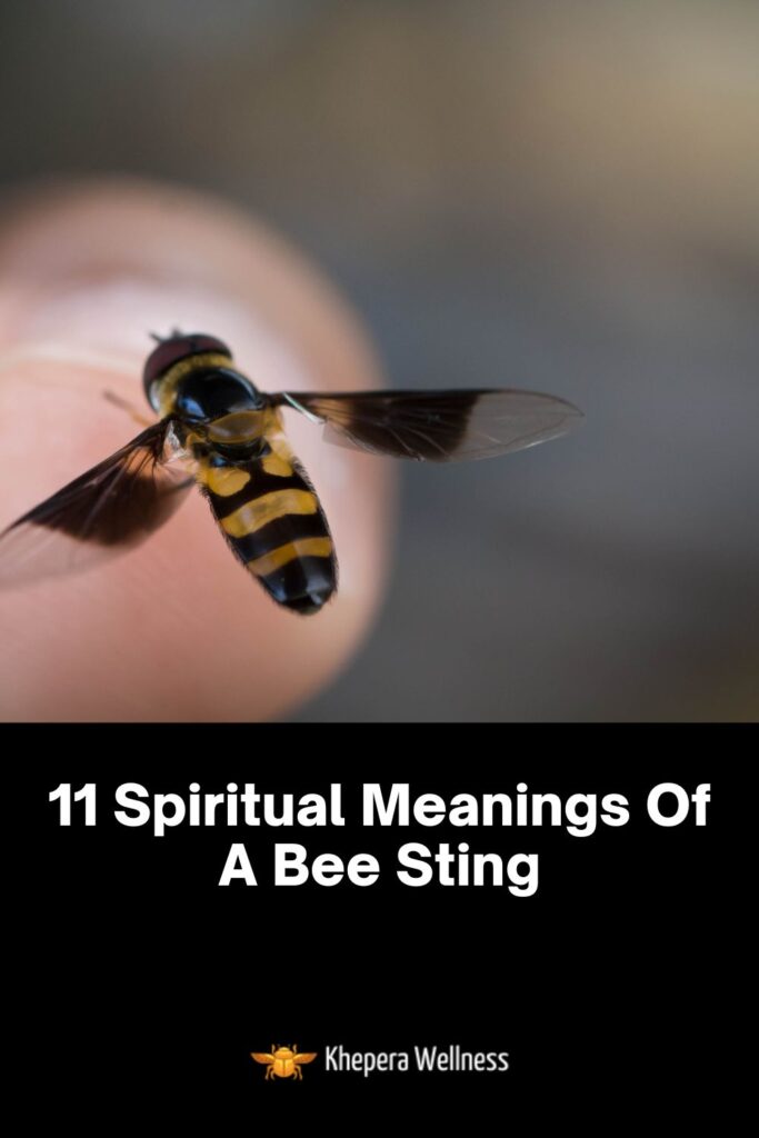 11 Spiritual Meanings Of A Bee Sting