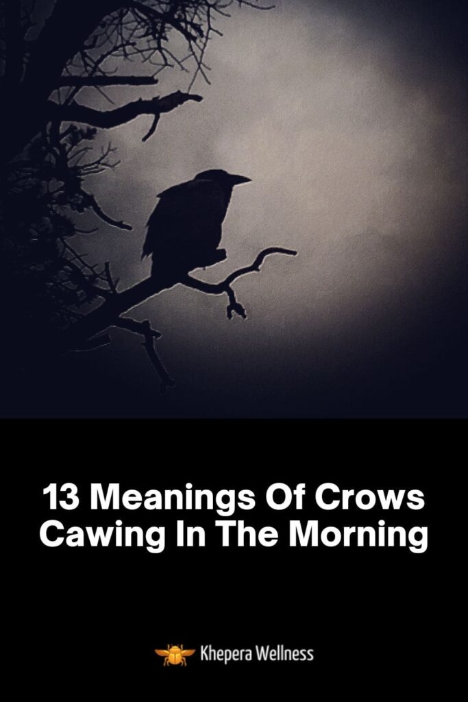 13 Meanings Of Crows Cawing In The Morning
