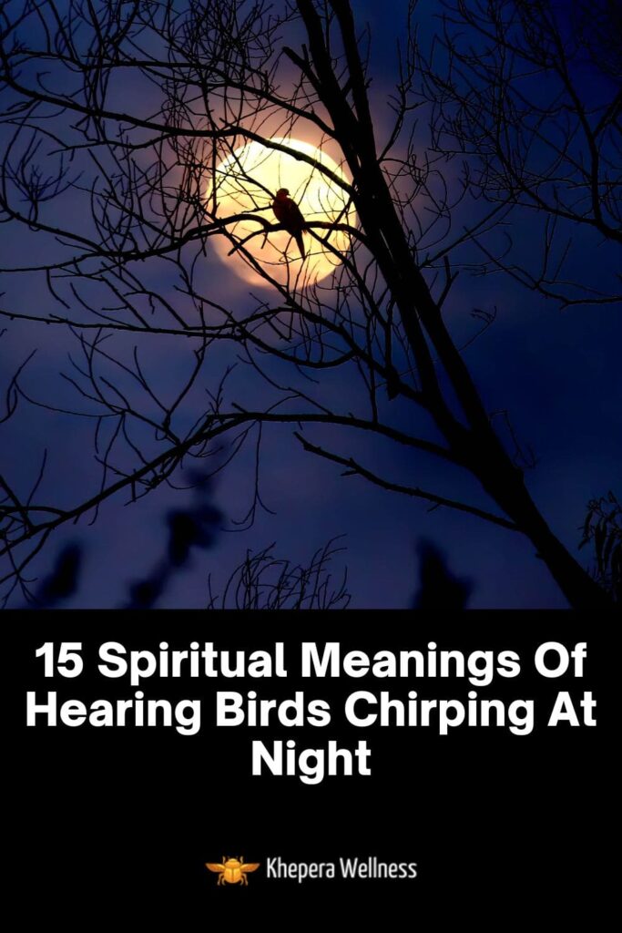 15 Spiritual Meanings Of Hearing Birds Chirping At Night
