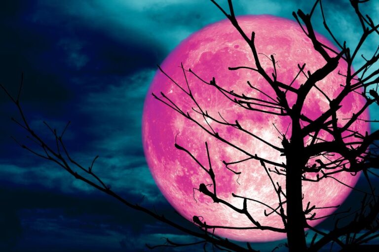 What Is The Spiritual Meaning Of The Pink Moon? [ 2024 ]