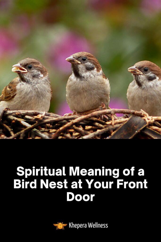Spiritual Meaning of a Bird Nest at Your Front Door
