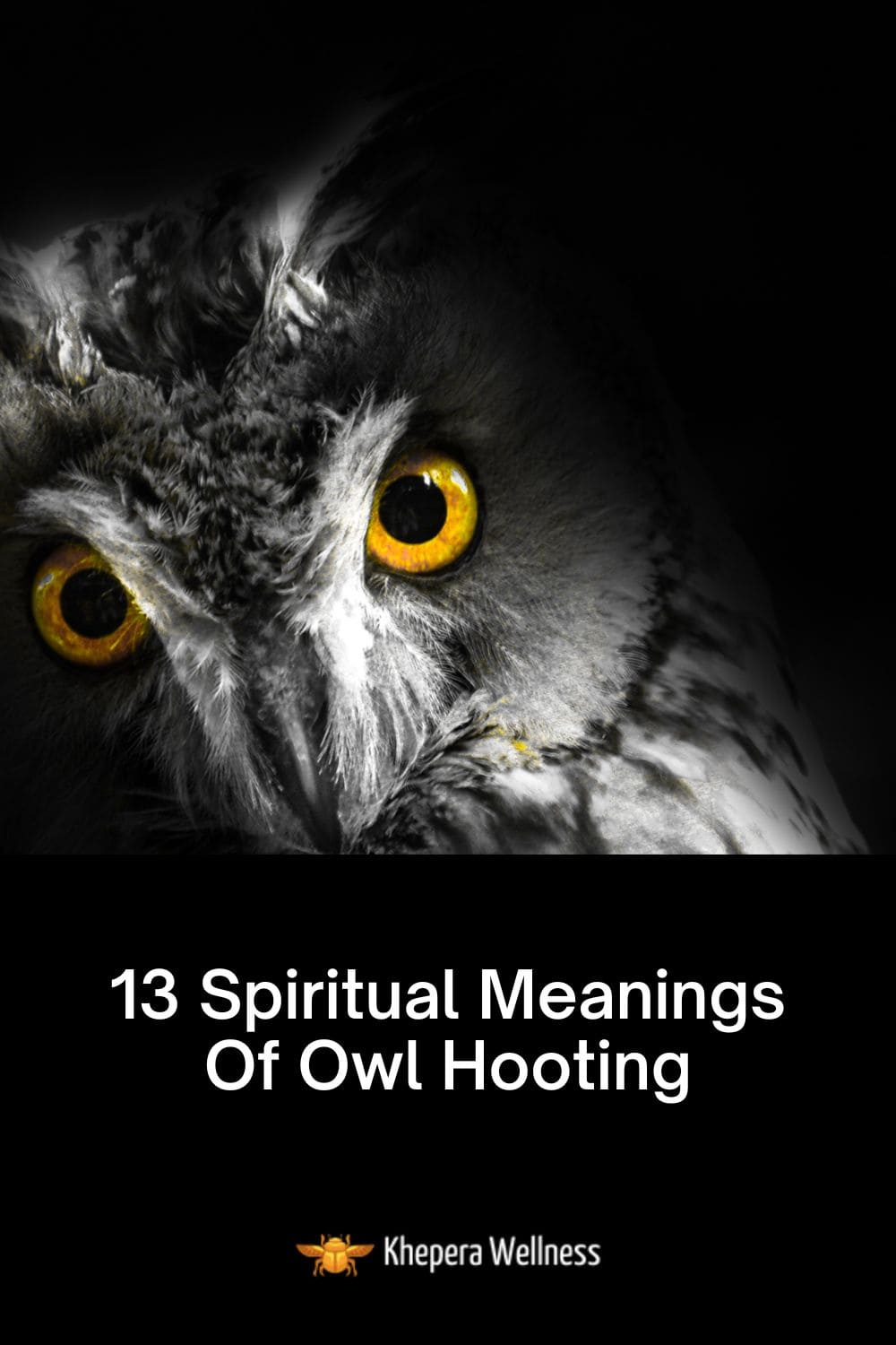 13 Spiritual Meanings Of Owl Hooting Khepera Wellness
