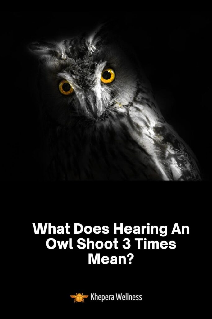 hearing an owl hoot 3 times
