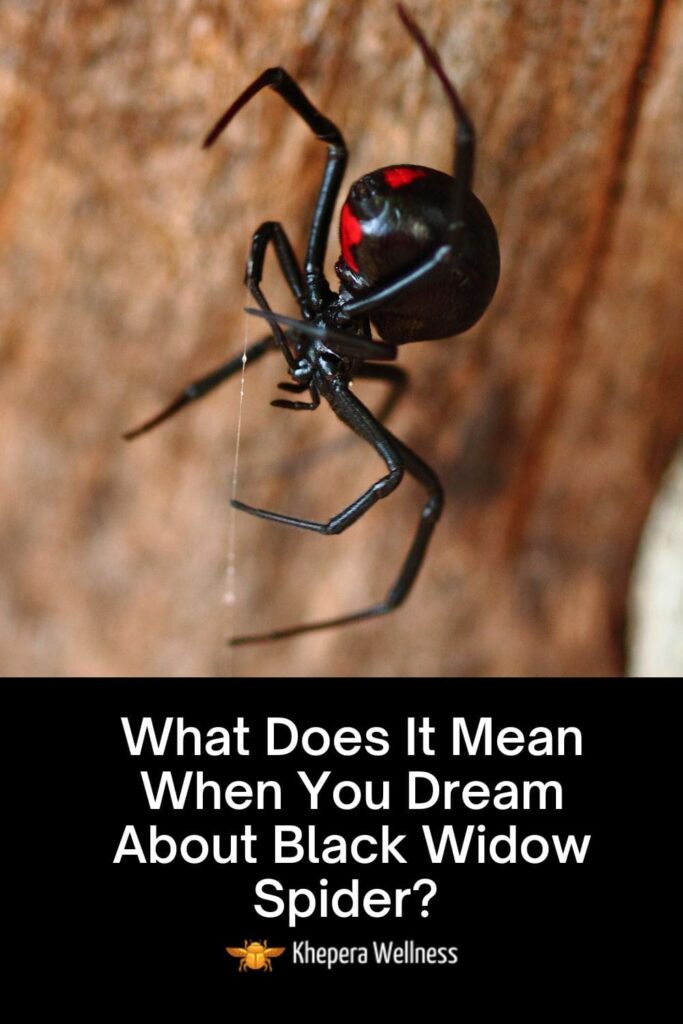  What Does It Mean When You Dream About Black Widow Spider?