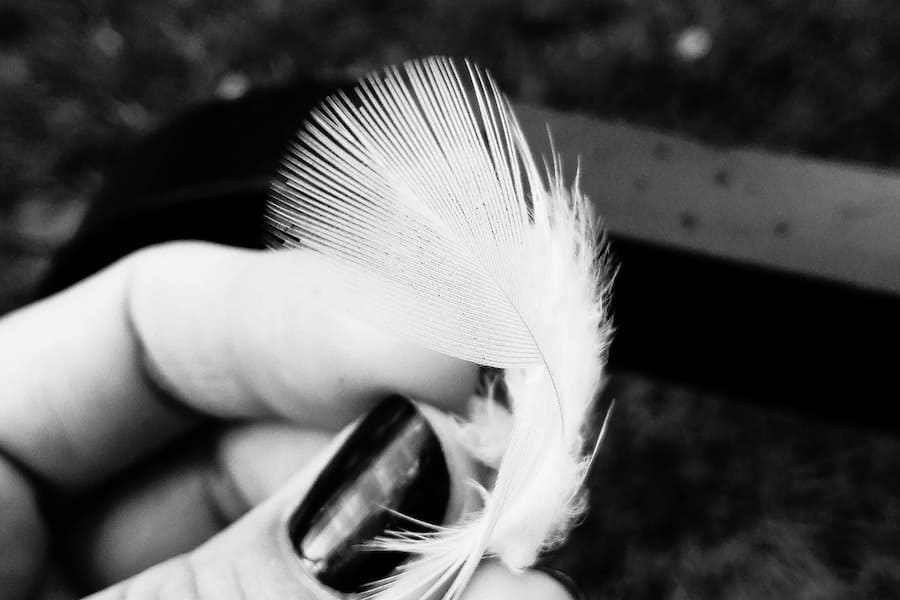 Woman found a white feather