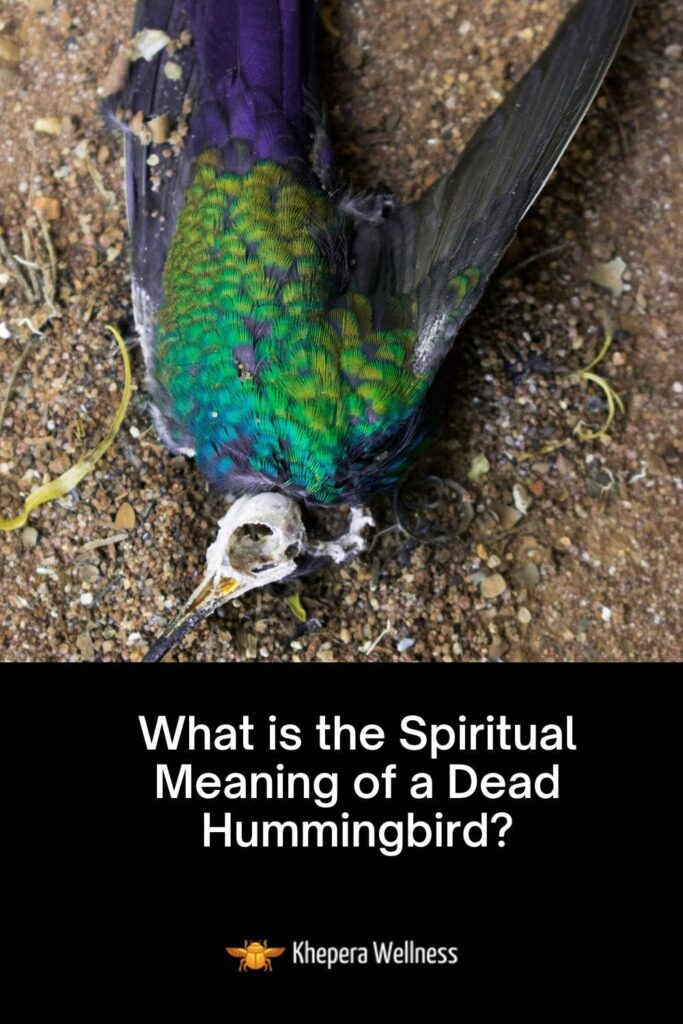 Spiritual Meaning of a Dead