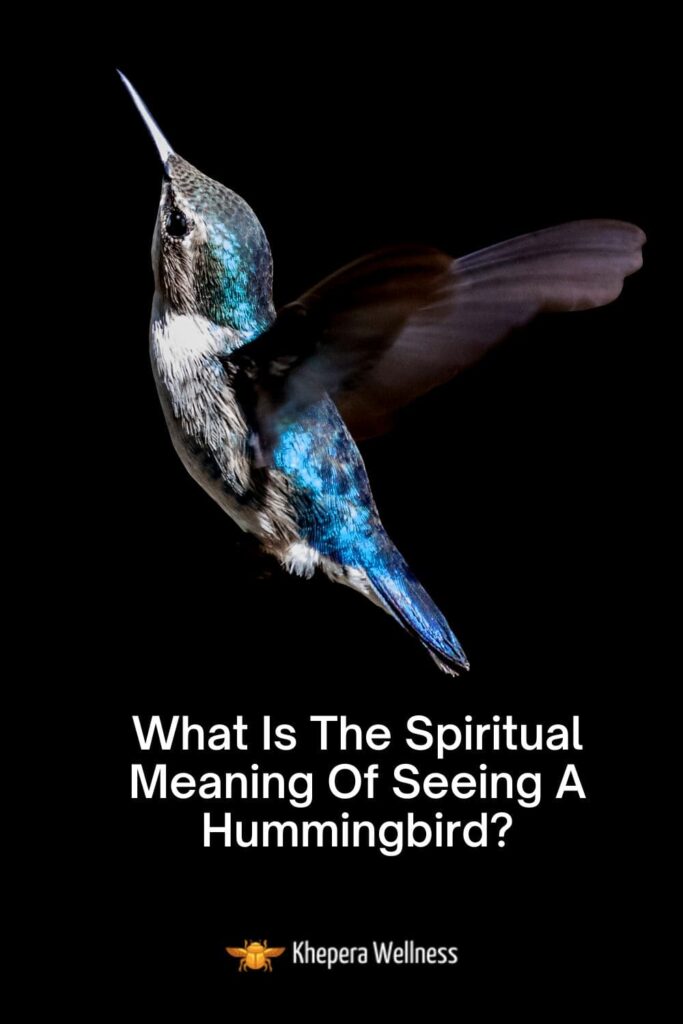 What Is The Spiritual Meaning Of Seeing A Hummingbird