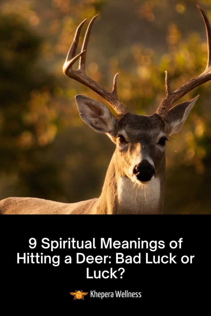 9 Spiritual Meanings of Hitting a Deer Bad Luck or Luck