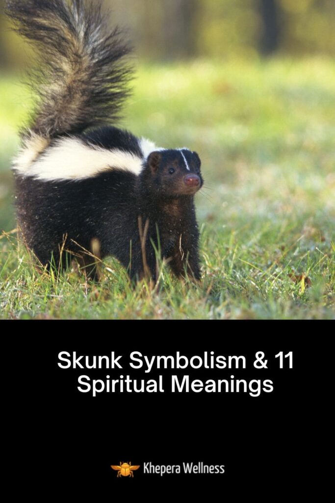 Skunk meaning