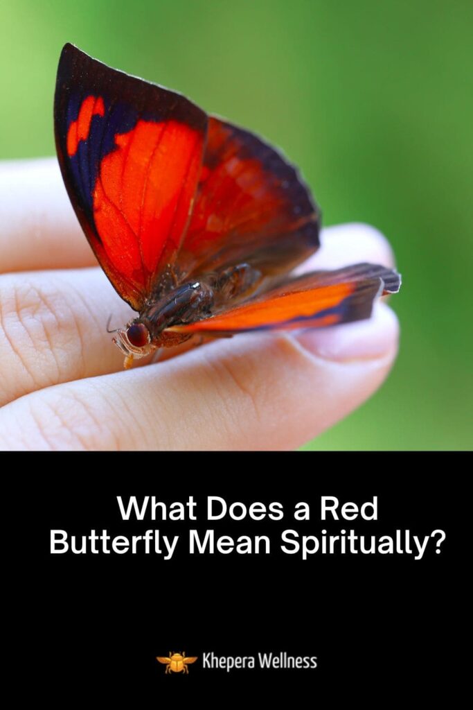 What Does a Red Butterfly Mean Spiritually