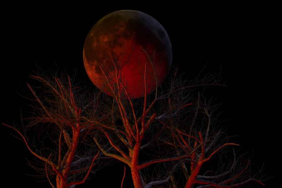 very big blood moon