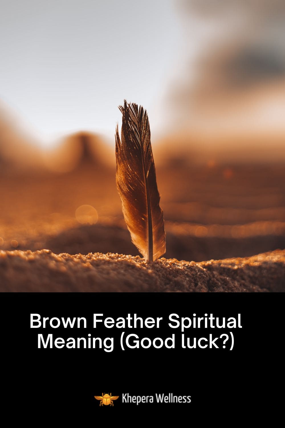 Brown Feather Spiritual Meaning (Good luck?)