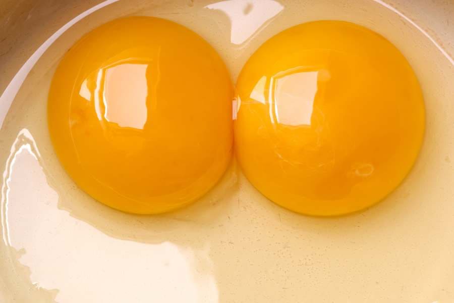 biblical meaning of a double yolk egg