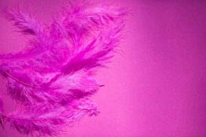Pink Feather Meaning