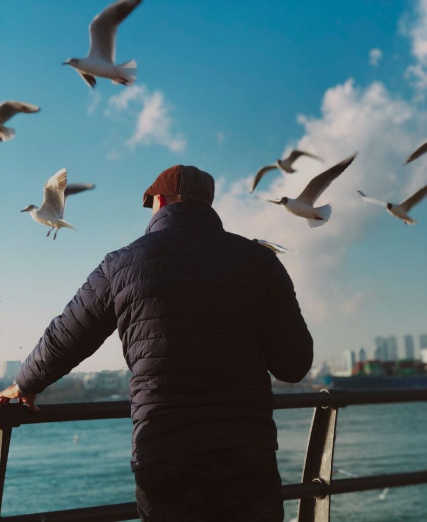 Man looking at flying birds