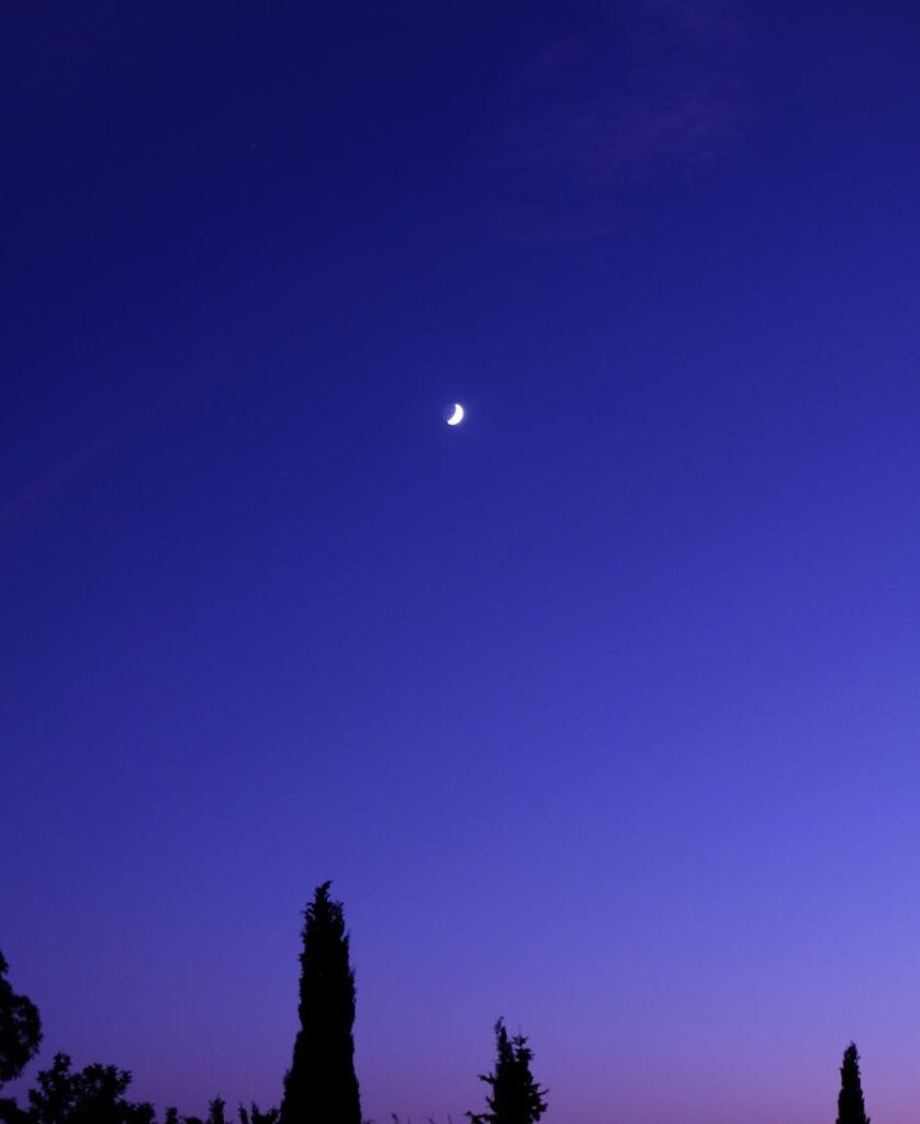 Purple Sky