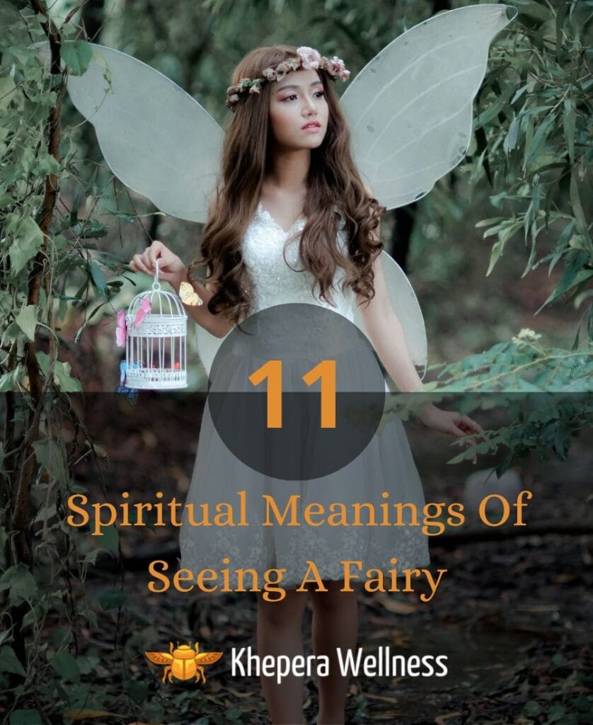 Spiritual Meanings Of Seeing A Fairy 