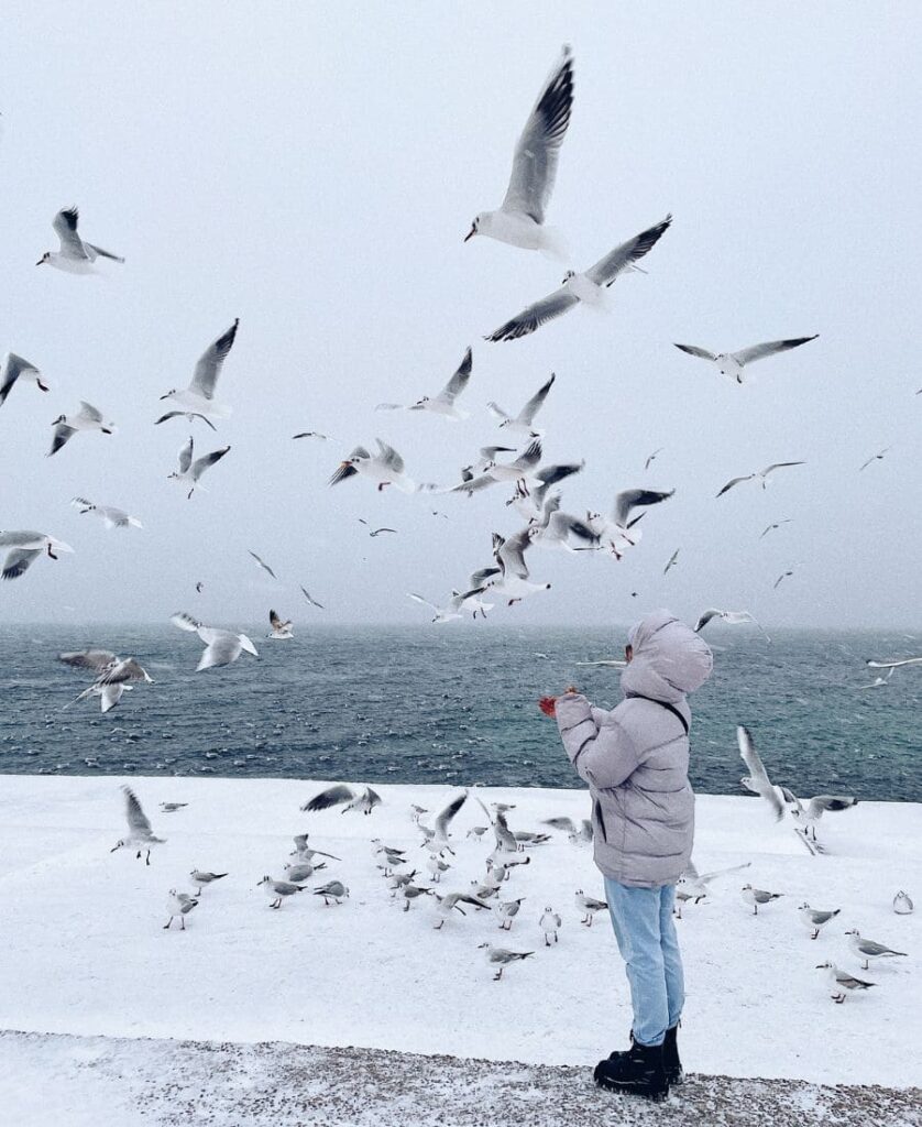 Spiritual Meanings of Birds Flying In Front Of You