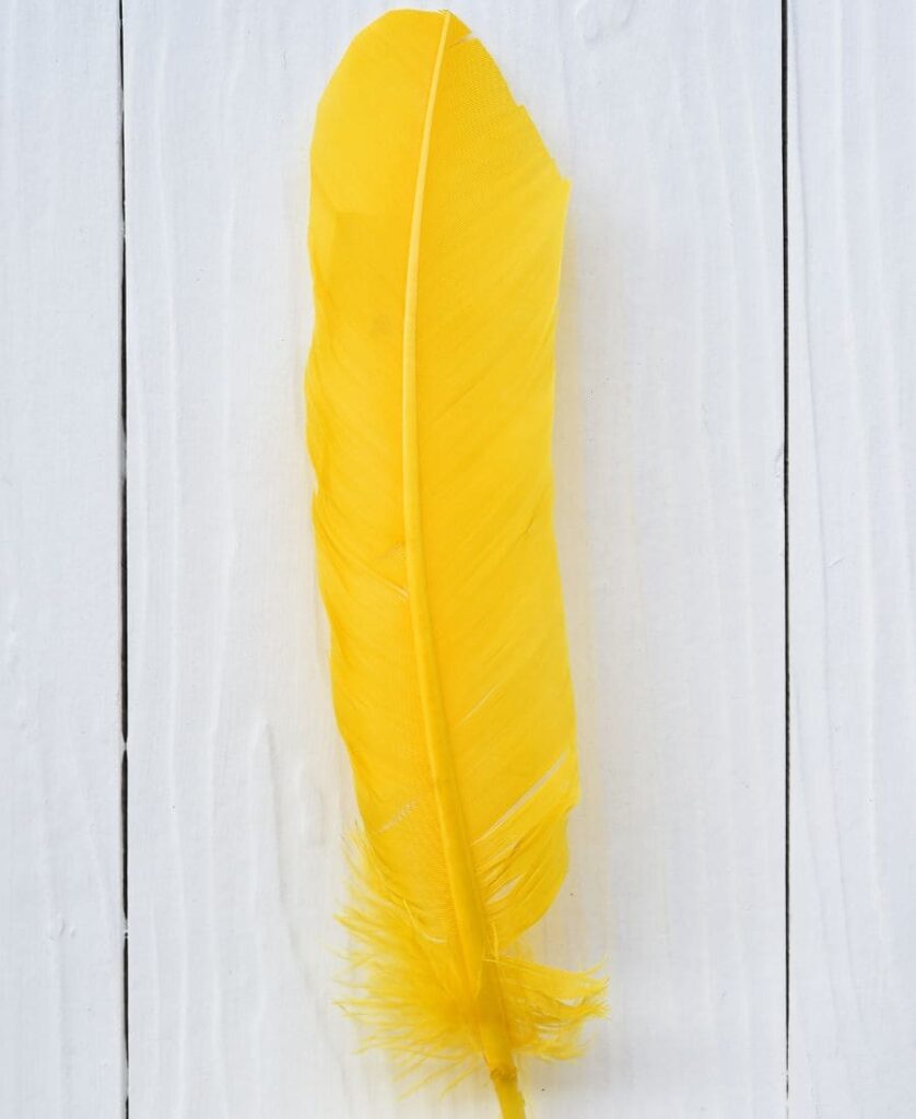Yellow Feather Meaning