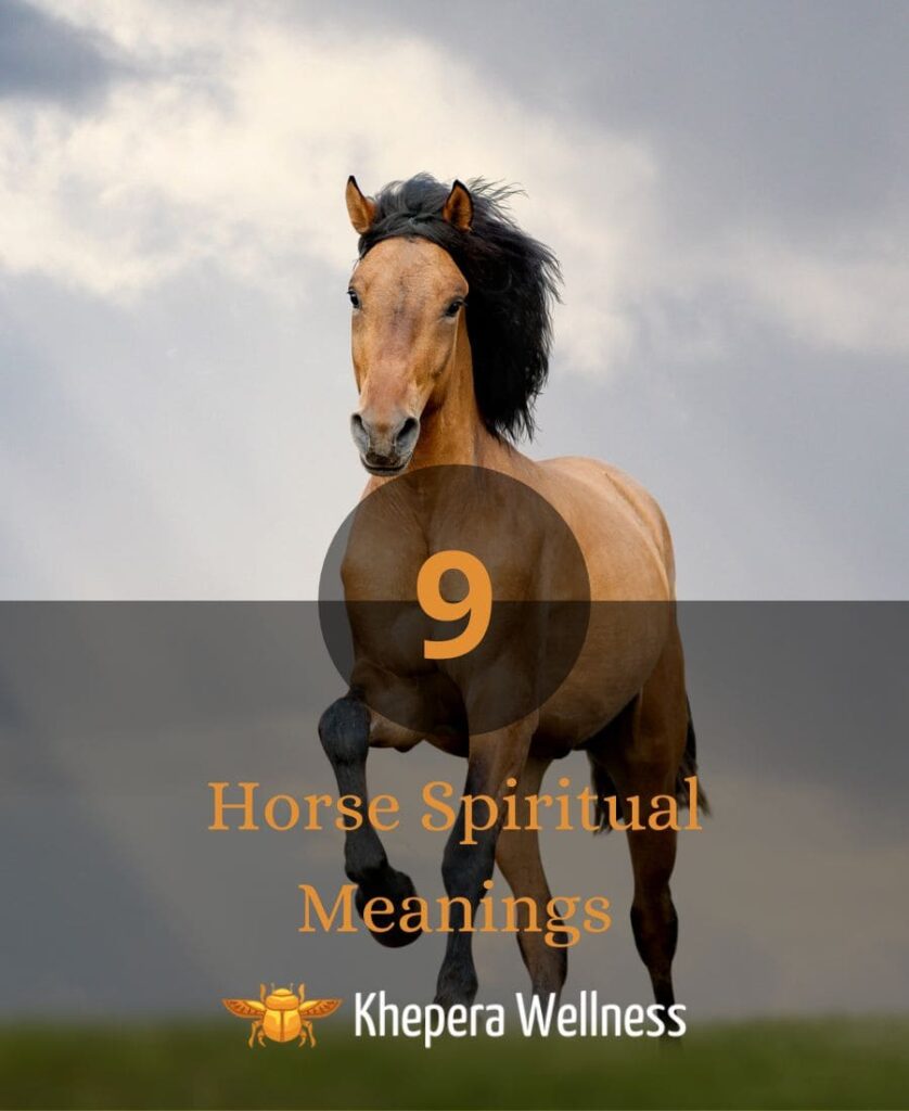 Horse Spiritual Meaning
