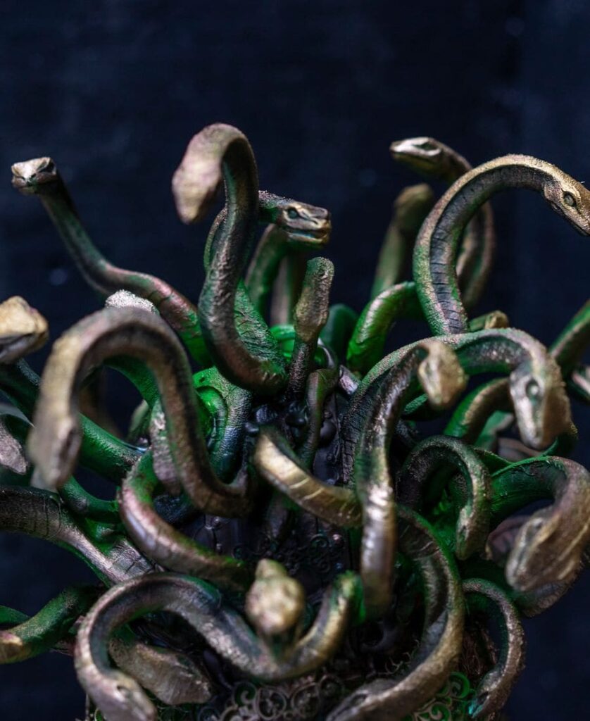 Medusa snakes
