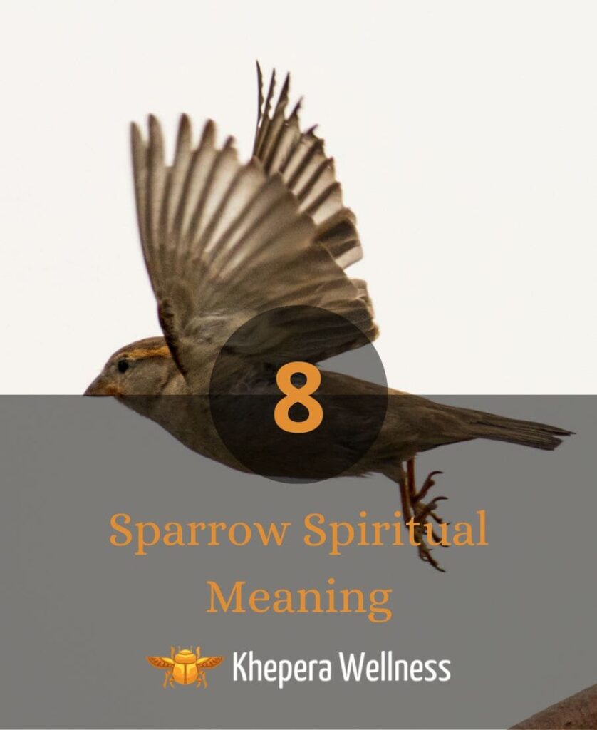 Sparrow Spiritual Meaning