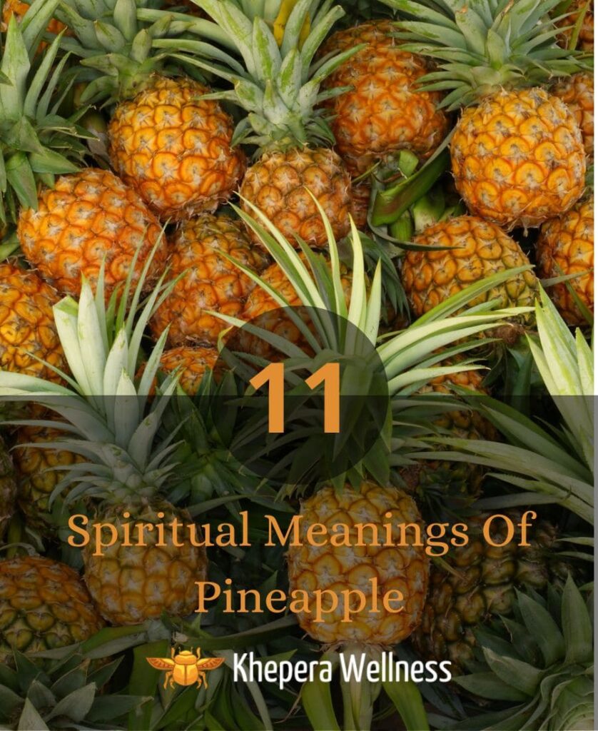 Spiritual Meaning Of Pineapple
